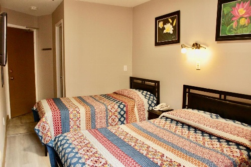 Hotel Victor image 1